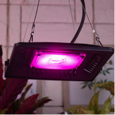 Прожектор светодиодный для растений FITO-50W-LED BLUERED 50Вт IP