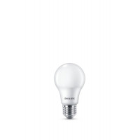 Лампа светодиодная Ecohome LED B